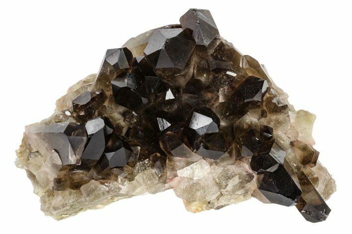 Dark Smoky Quartz Crystal Cluster - Brazil #119550